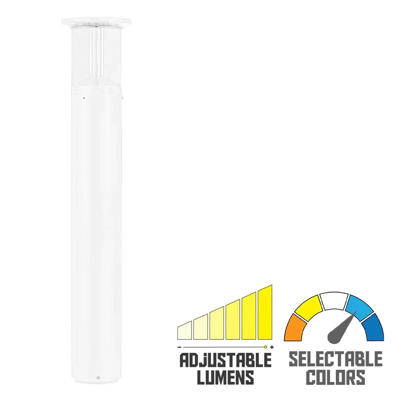 beeslighting22613520