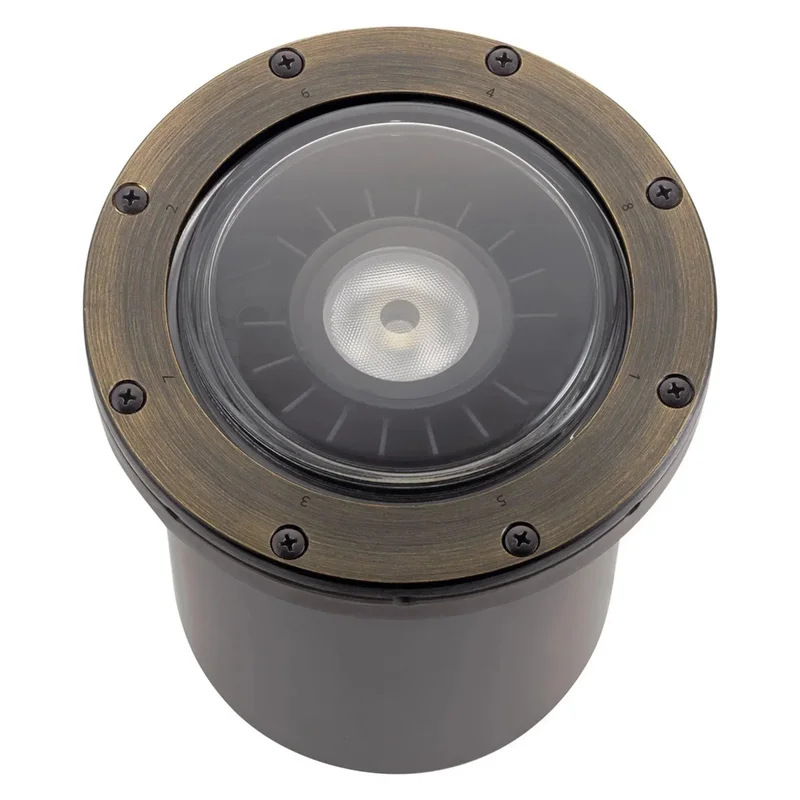 beeslighting22614903