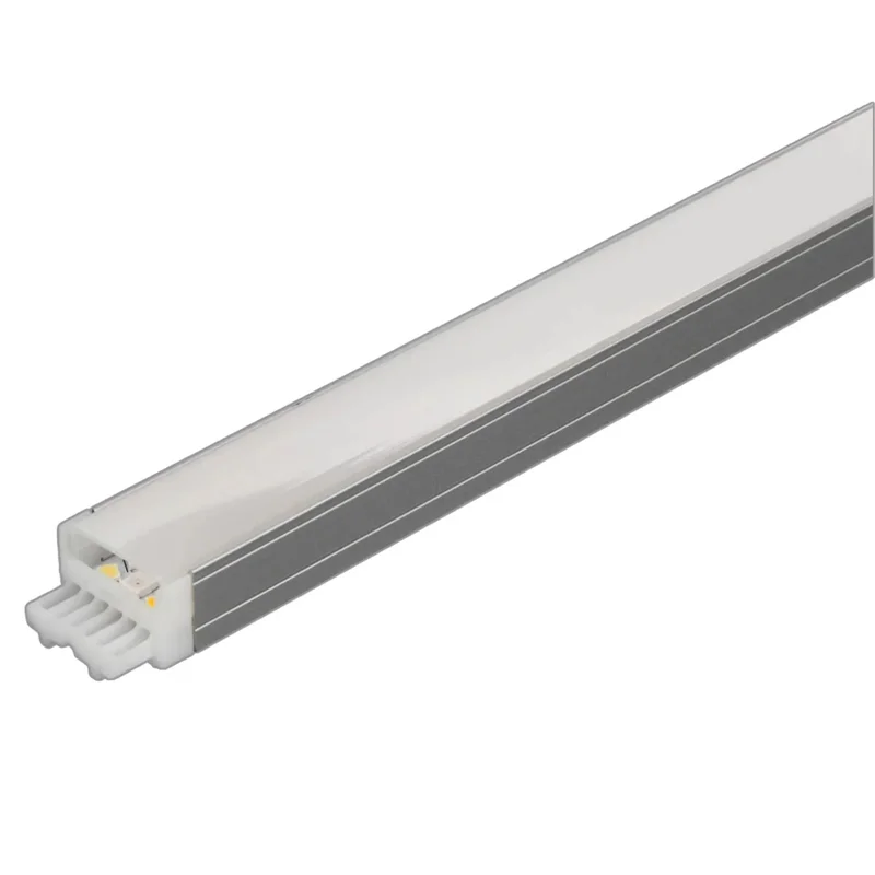 beeslighting22615265