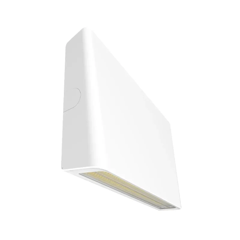 beeslighting22615566