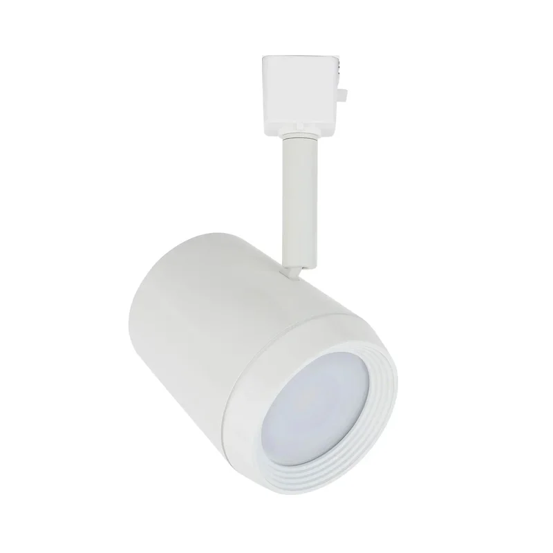 beeslighting22617484