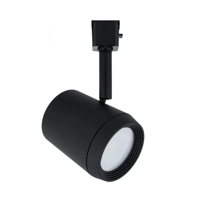beeslighting22617531