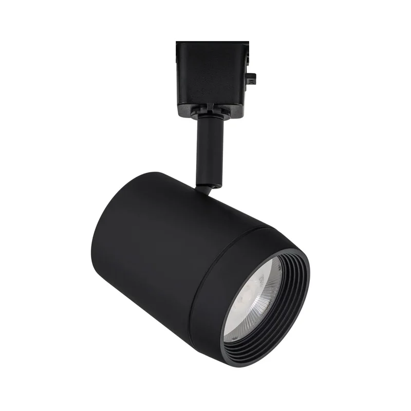 beeslighting22617572