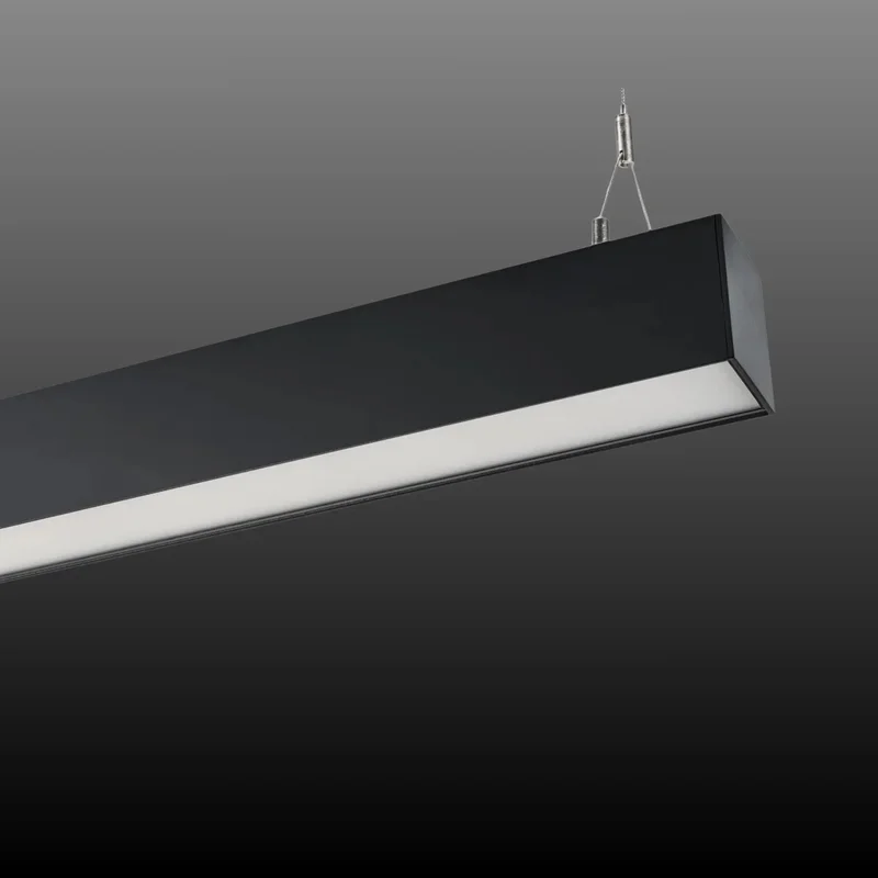 beeslighting22619599