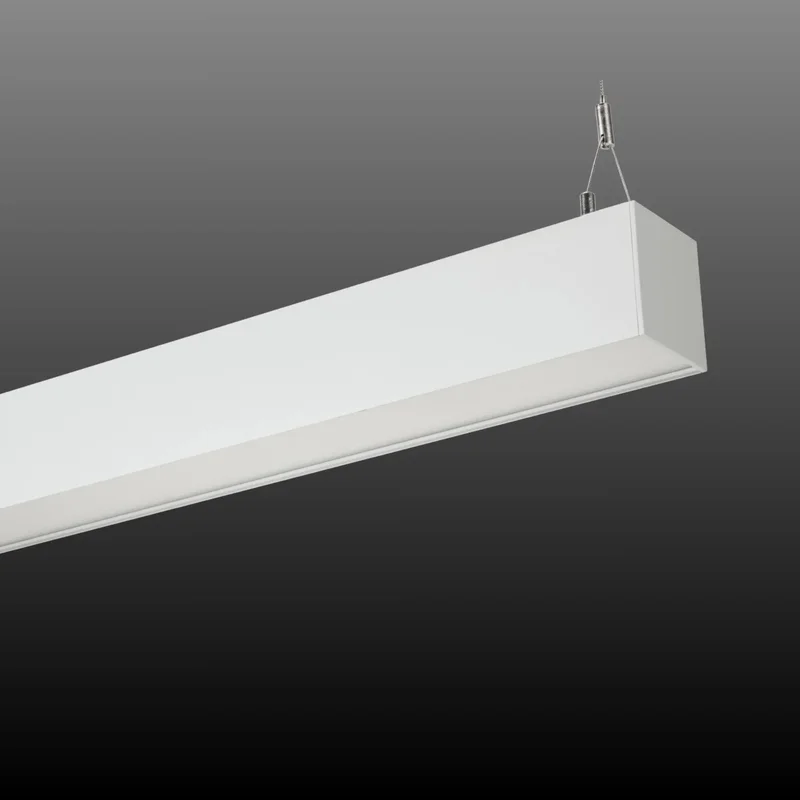 beeslighting22619604