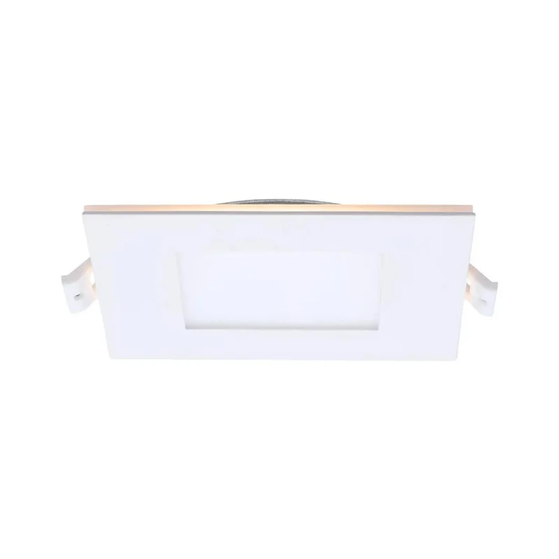 beeslighting22619739
