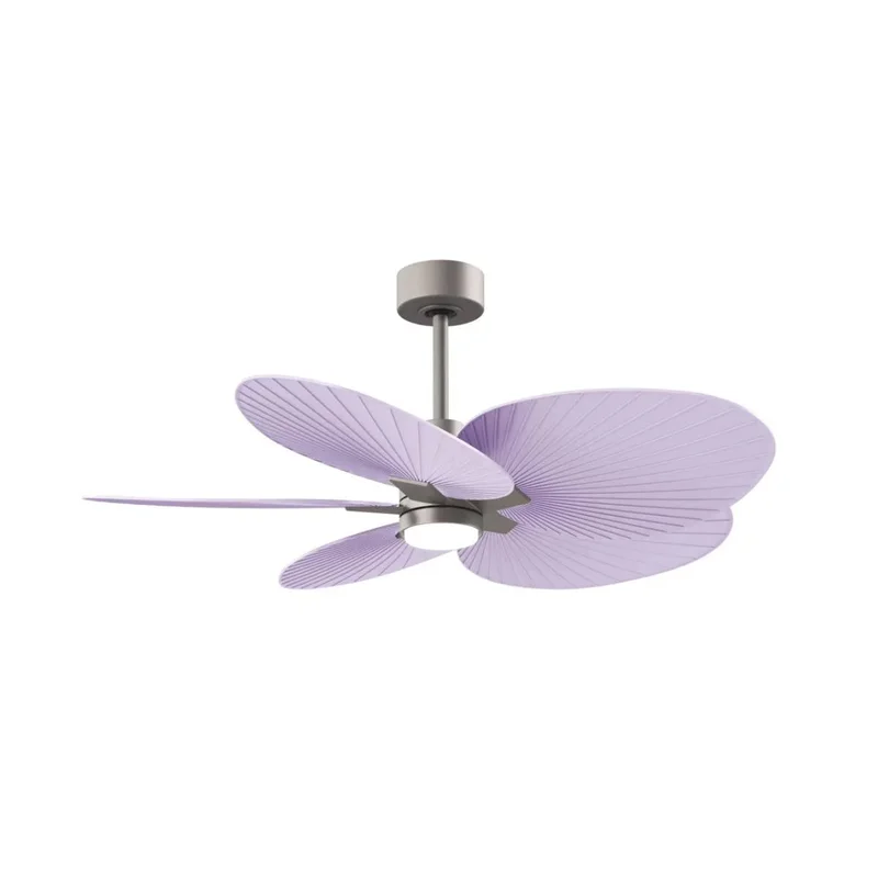 beeslighting22619974