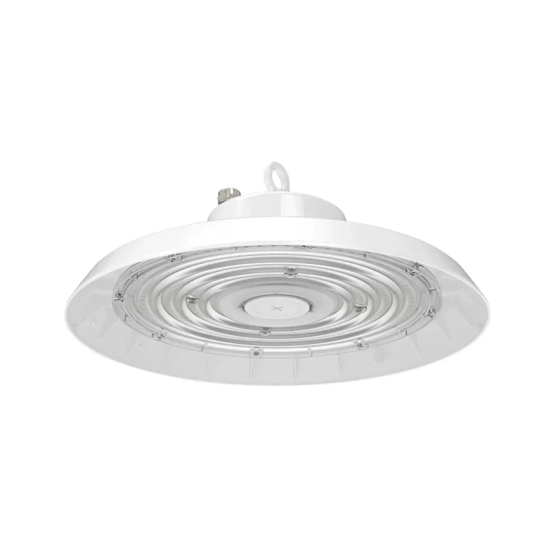 beeslighting22620026
