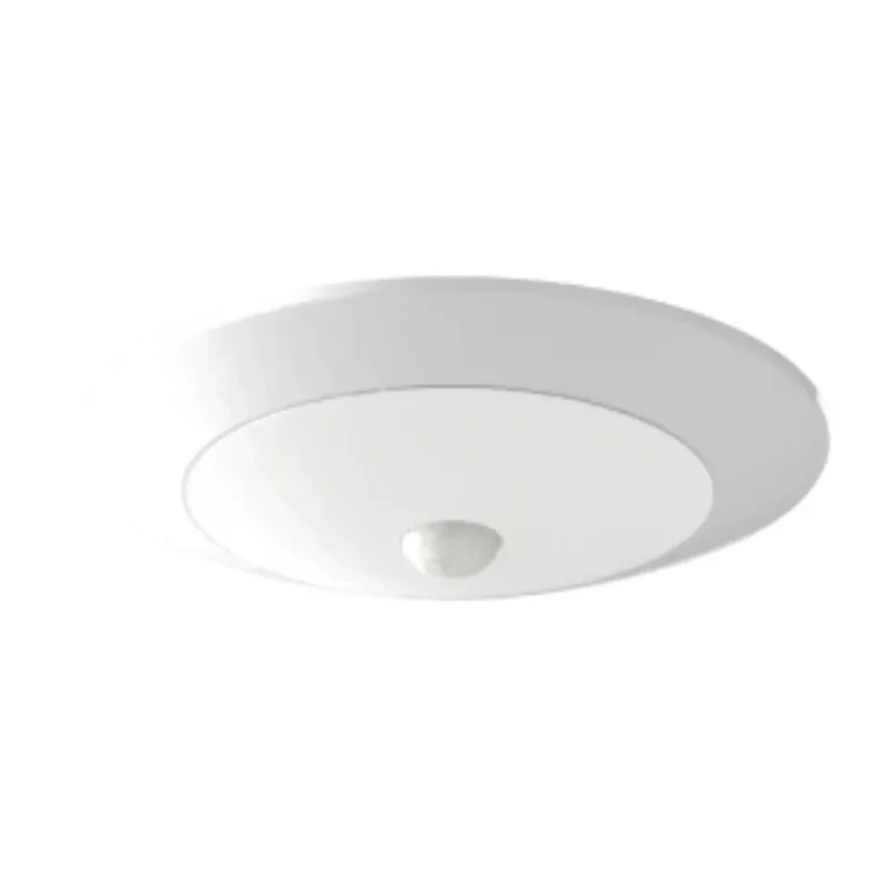 beeslighting22620058