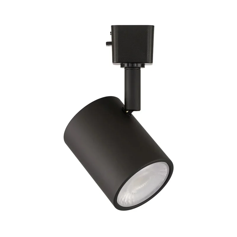 beeslighting22621599