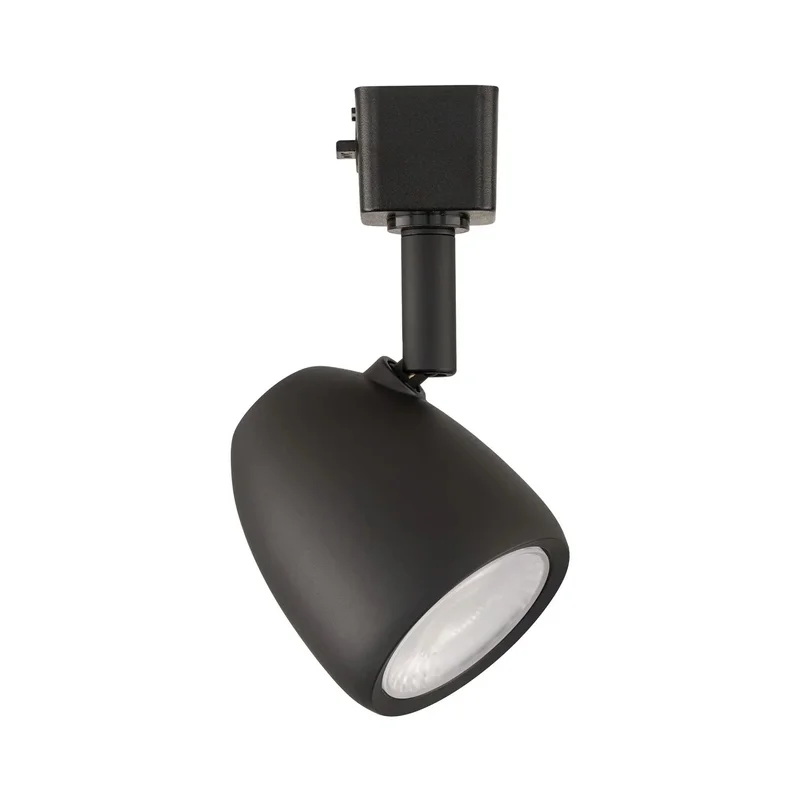 beeslighting22621630