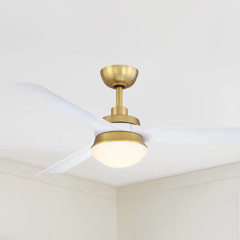 beeslighting22621817