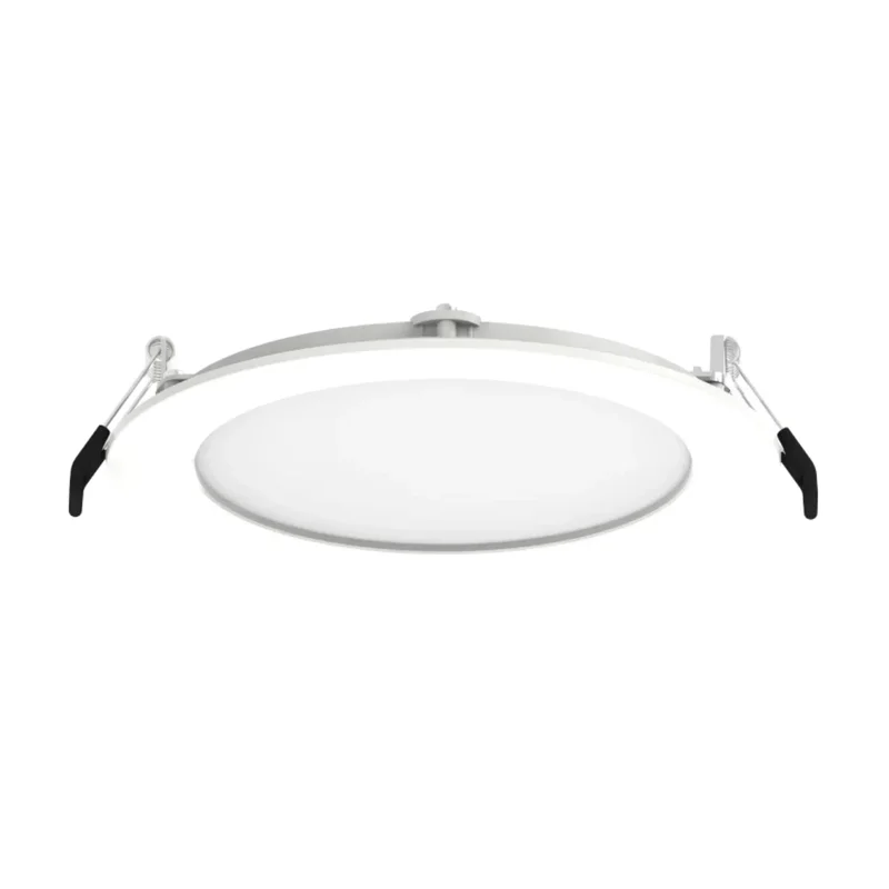 beeslighting22641750