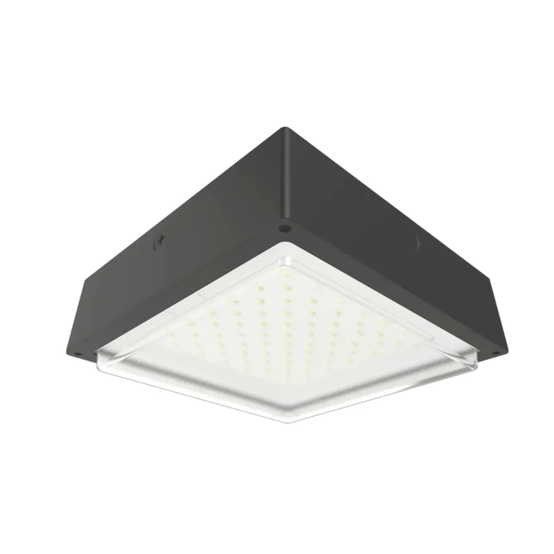 beeslighting22646746