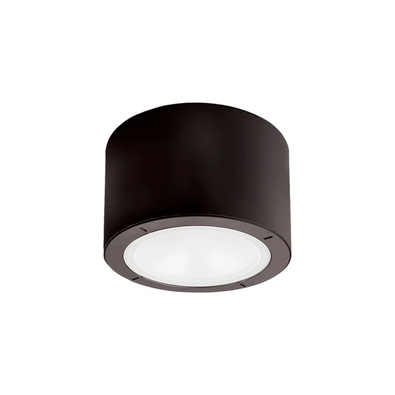 beeslighting22648087