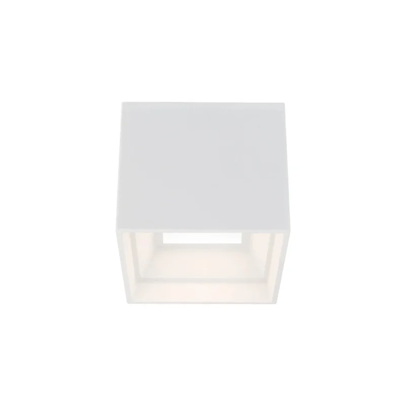 beeslighting22648468