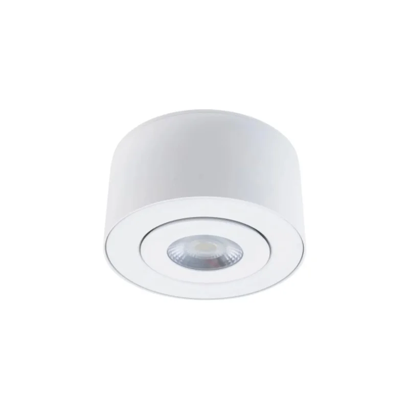 beeslighting22648775