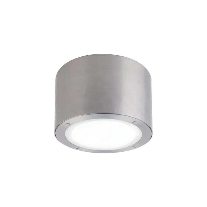 beeslighting22648961