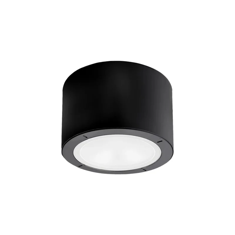 beeslighting22649406