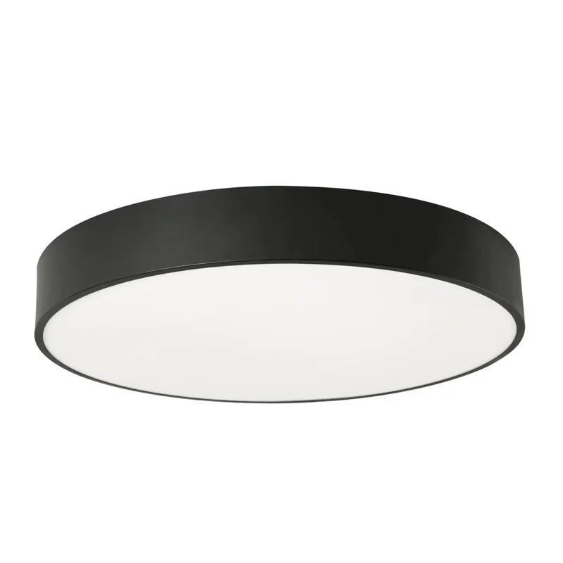 beeslighting22658574