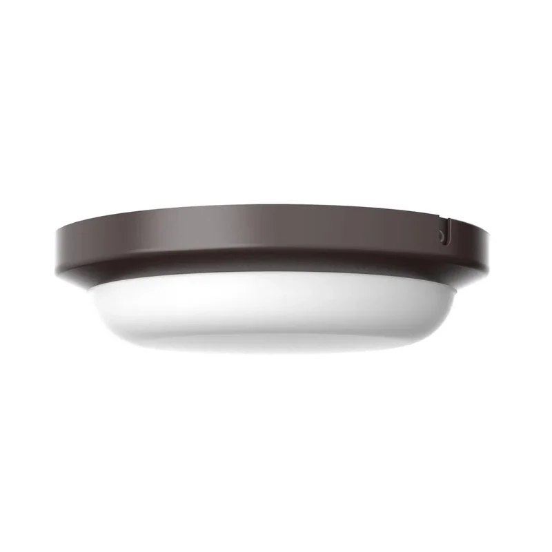 beeslighting22660238