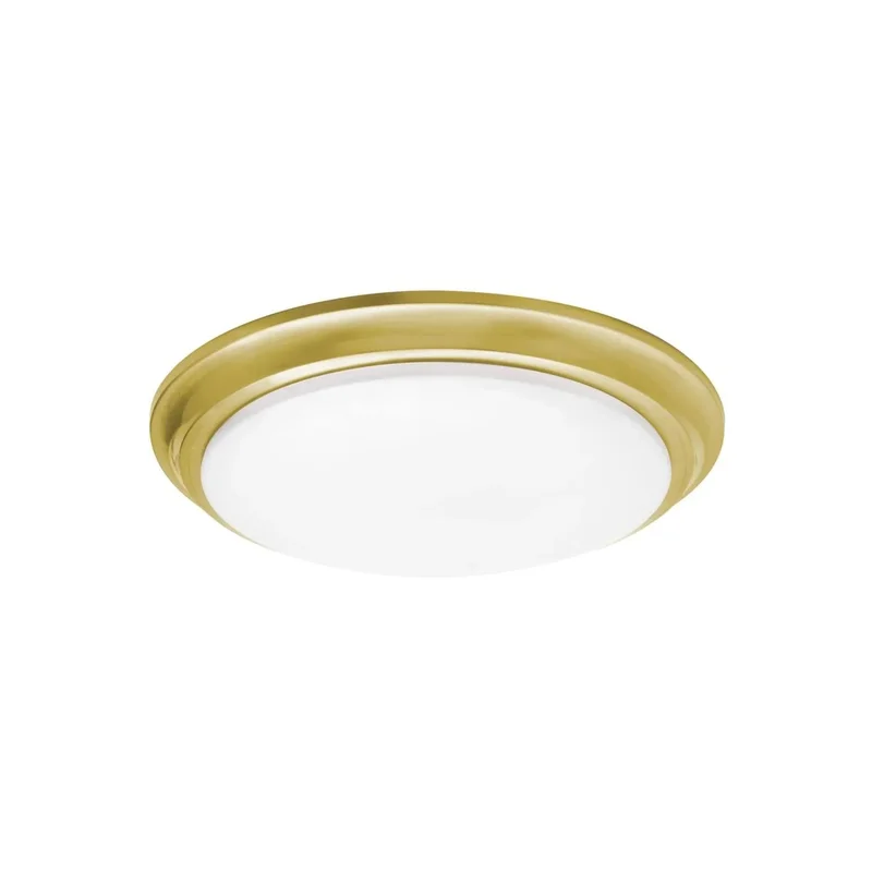 beeslighting22661063