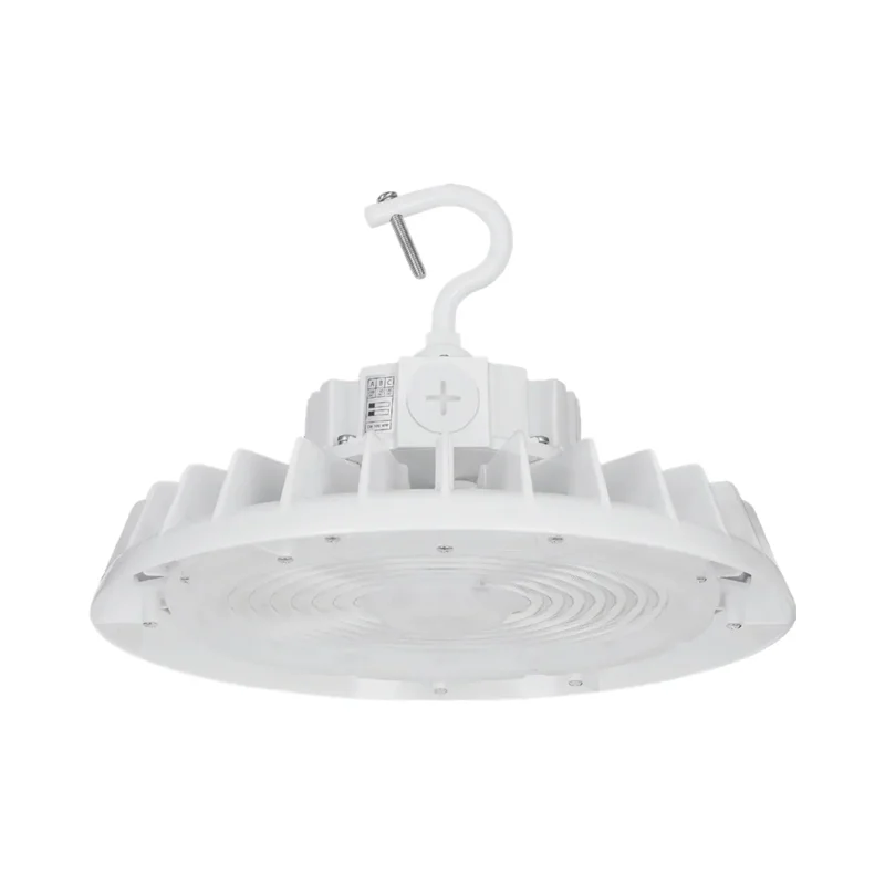 beeslighting22666351