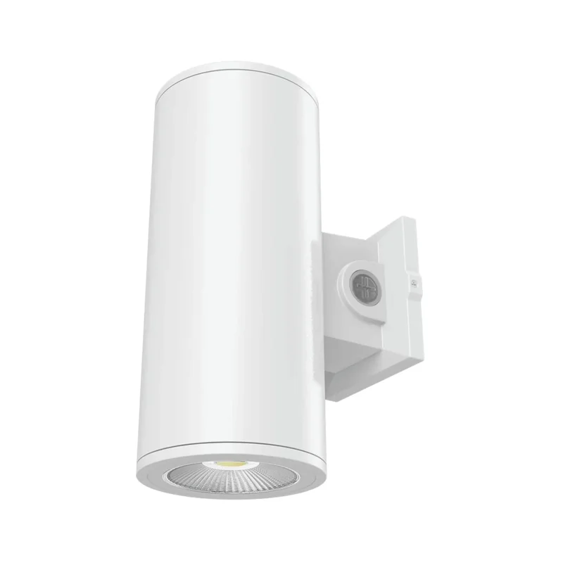 beeslighting22666581