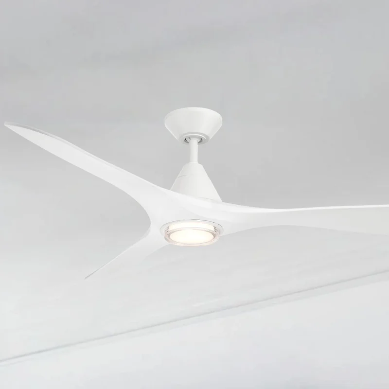 beeslighting22666836
