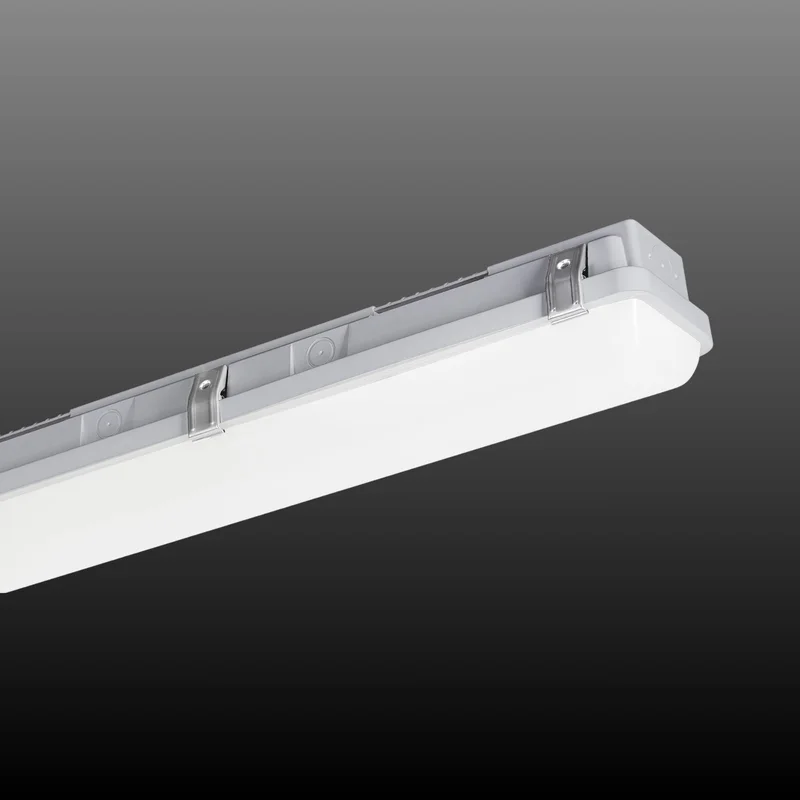 beeslighting32511314