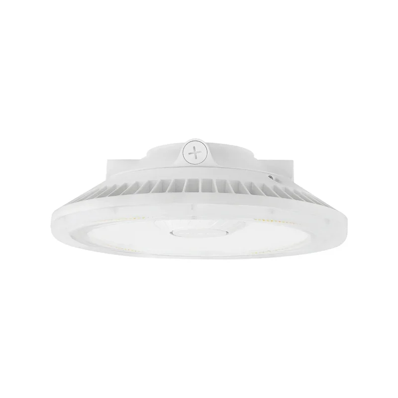 beeslighting32516428