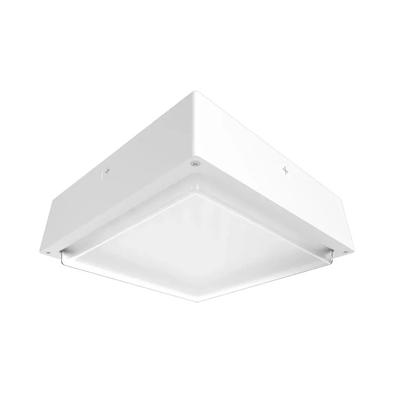 beeslighting32577806
