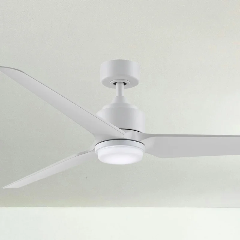 beeslighting32640676