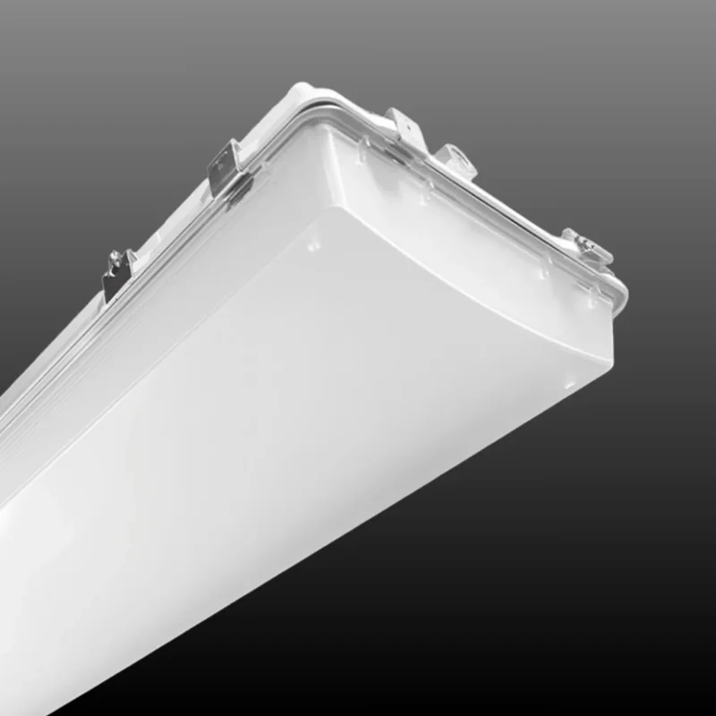 beeslighting32644120