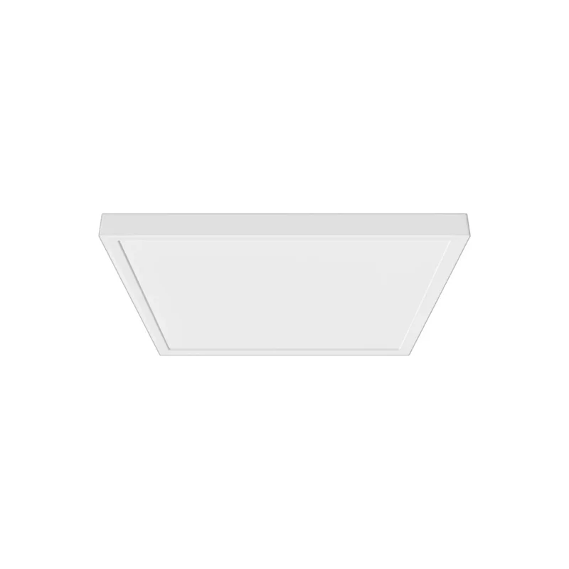 beeslighting32645456