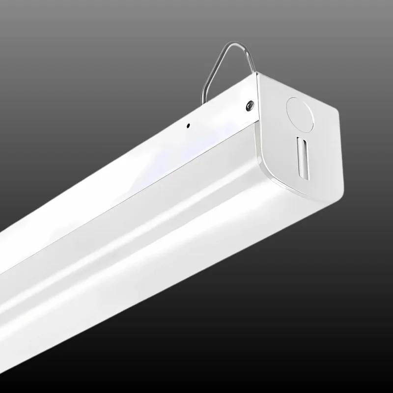 beeslighting32646919