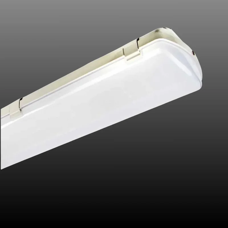 beeslighting32646932