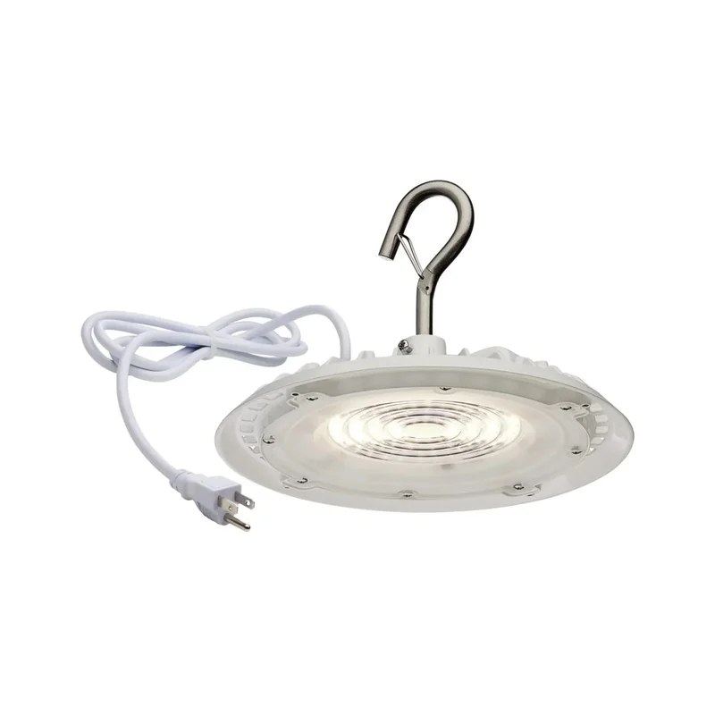 beeslighting32647267