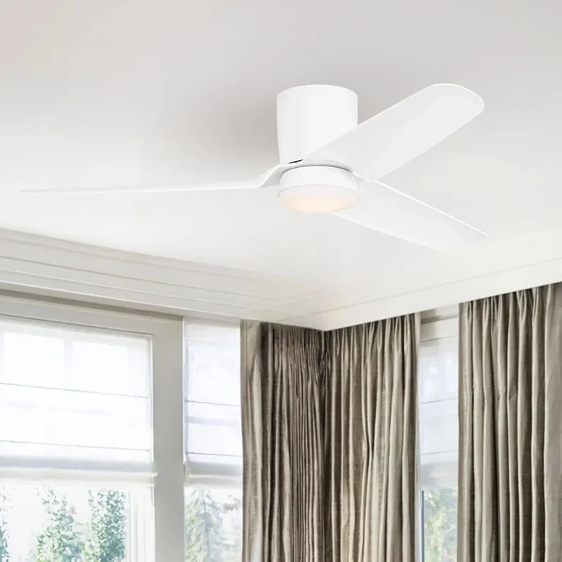 beeslighting32649643