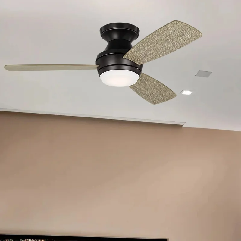 beeslighting32649739