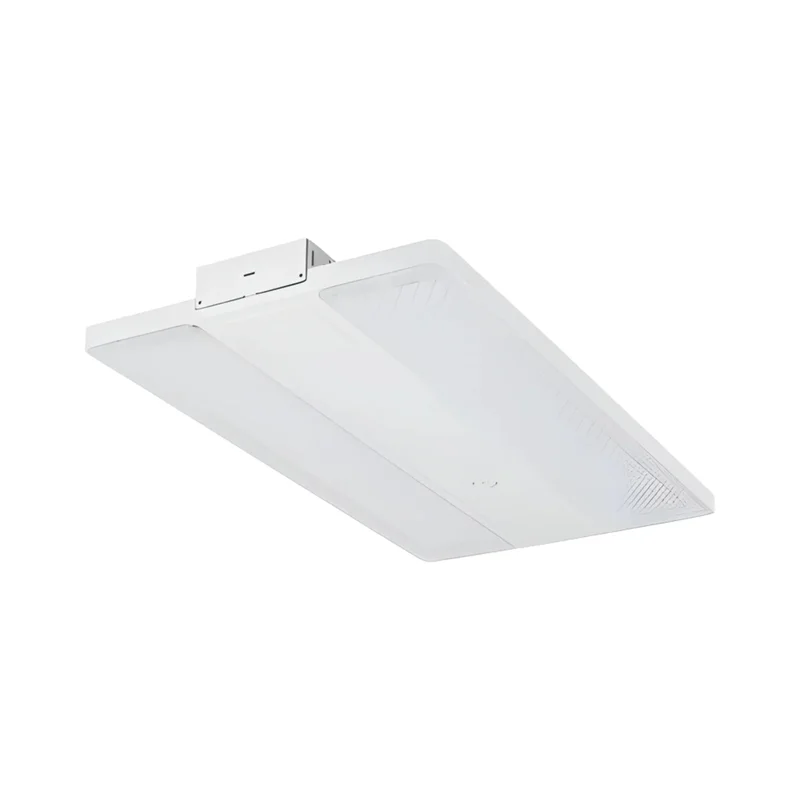 beeslighting32653584