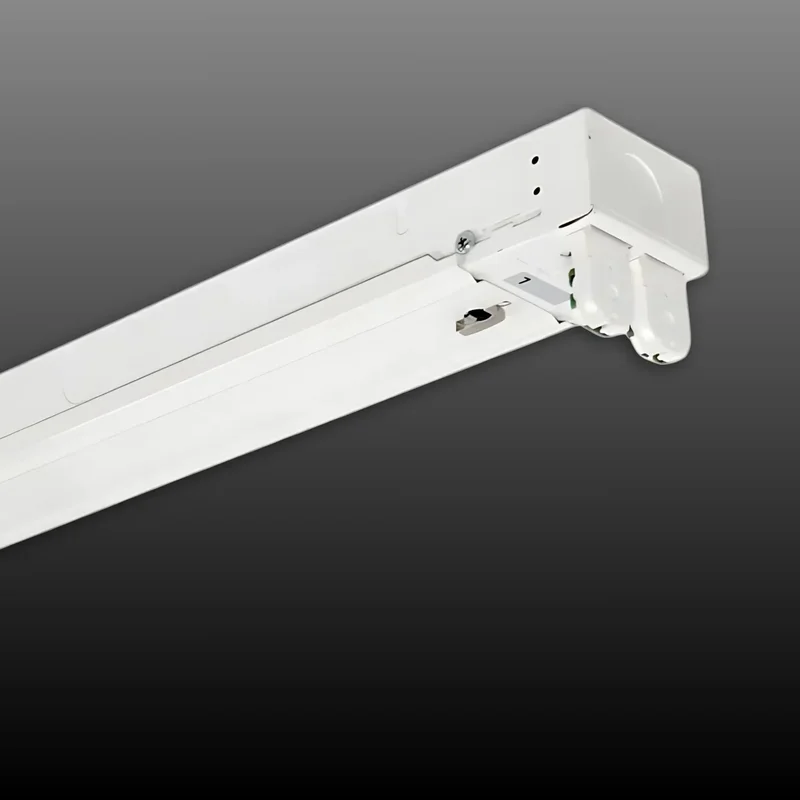 beeslighting32656653