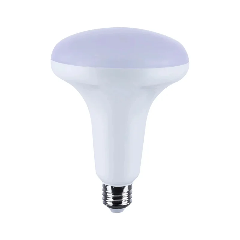 beeslighting32659107