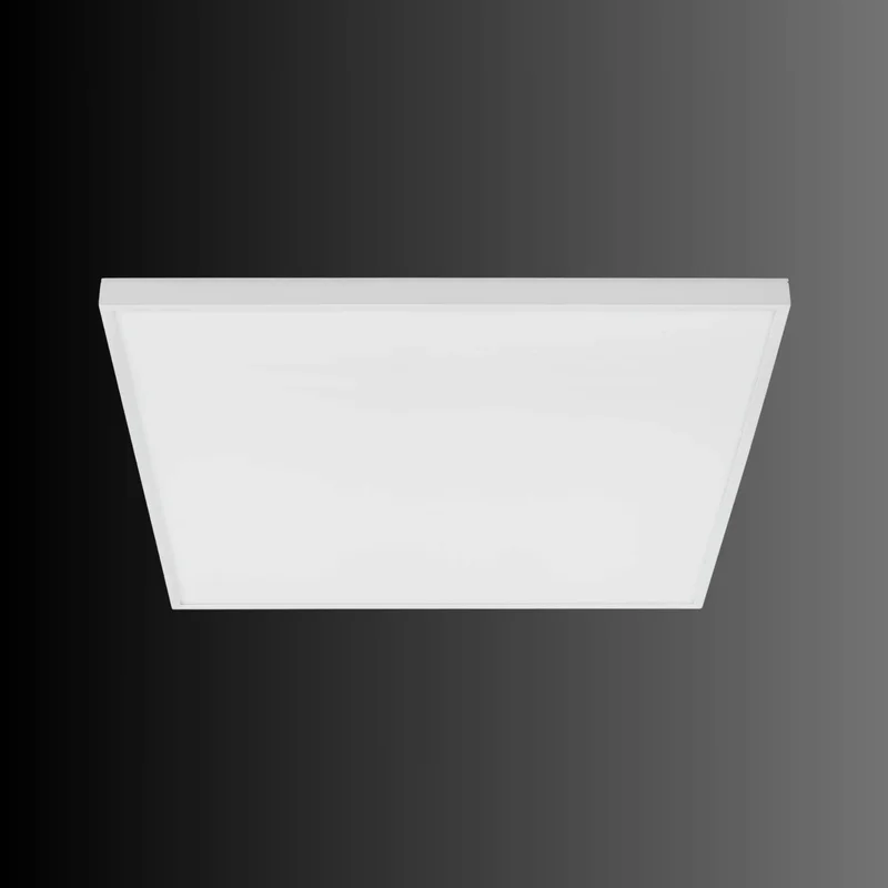 beeslighting32659240