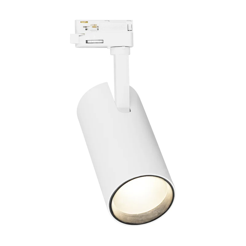 beeslighting32659469