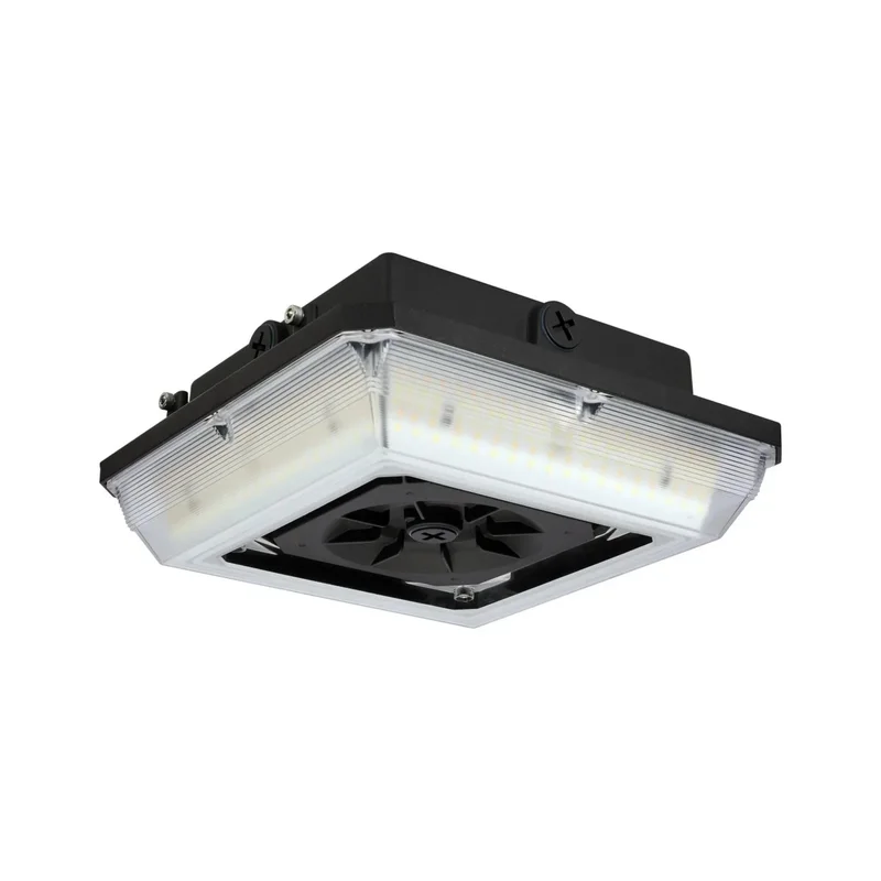 beeslighting32659507