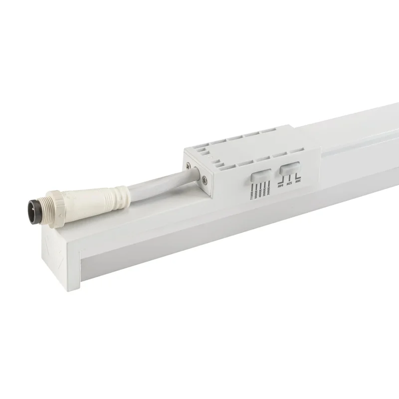 beeslighting32659792