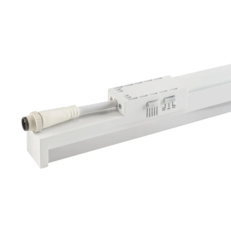 beeslighting32659798