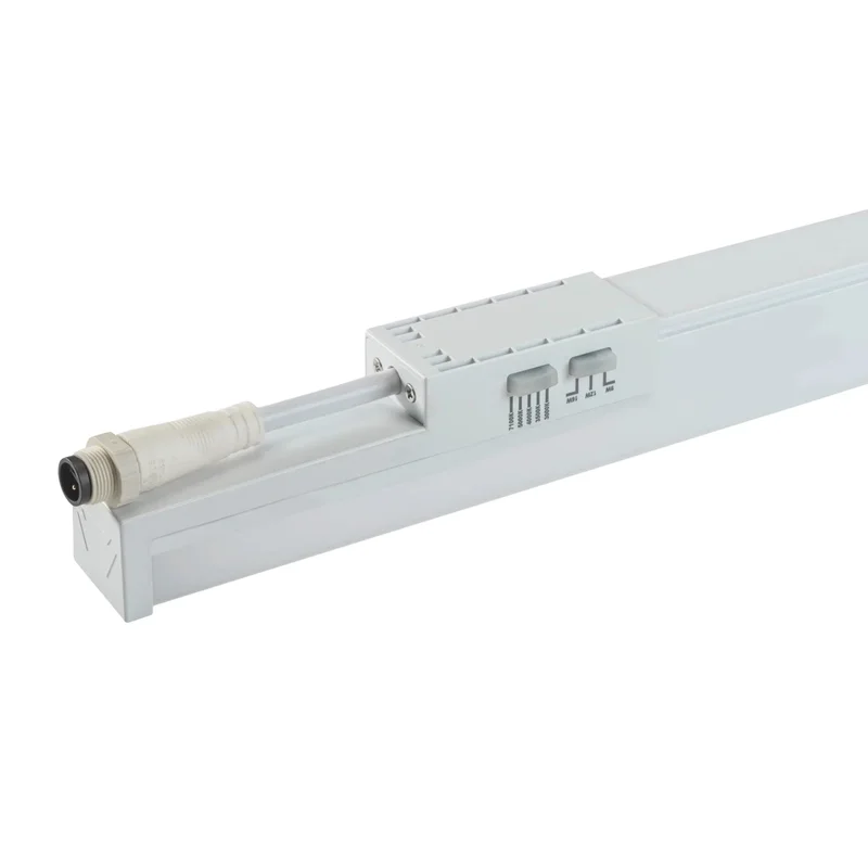 beeslighting32659804