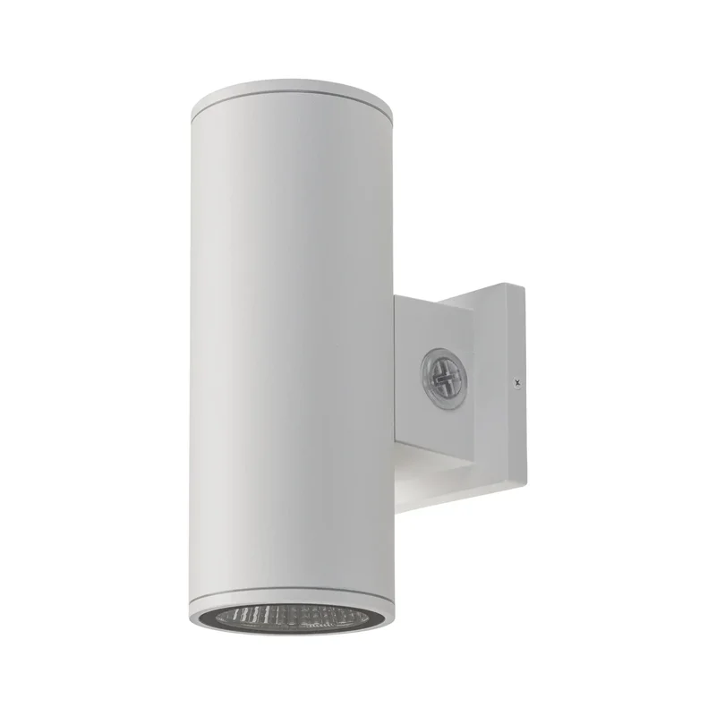 beeslighting32659835